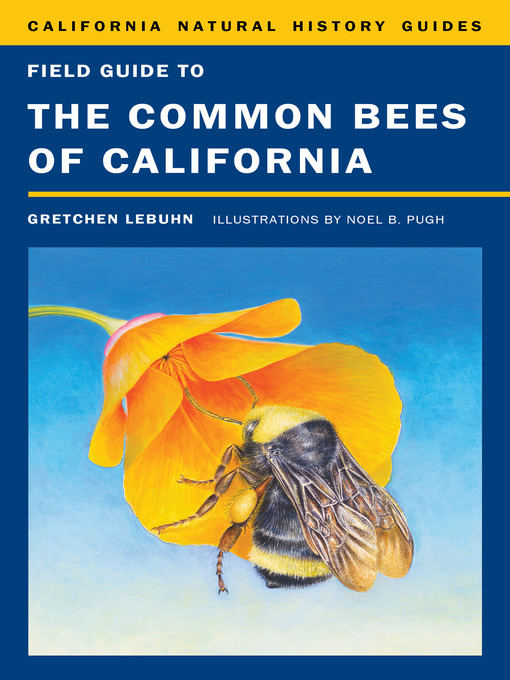 Title details for Field Guide to the Common Bees of California by Gretchen LeBuhn - Available